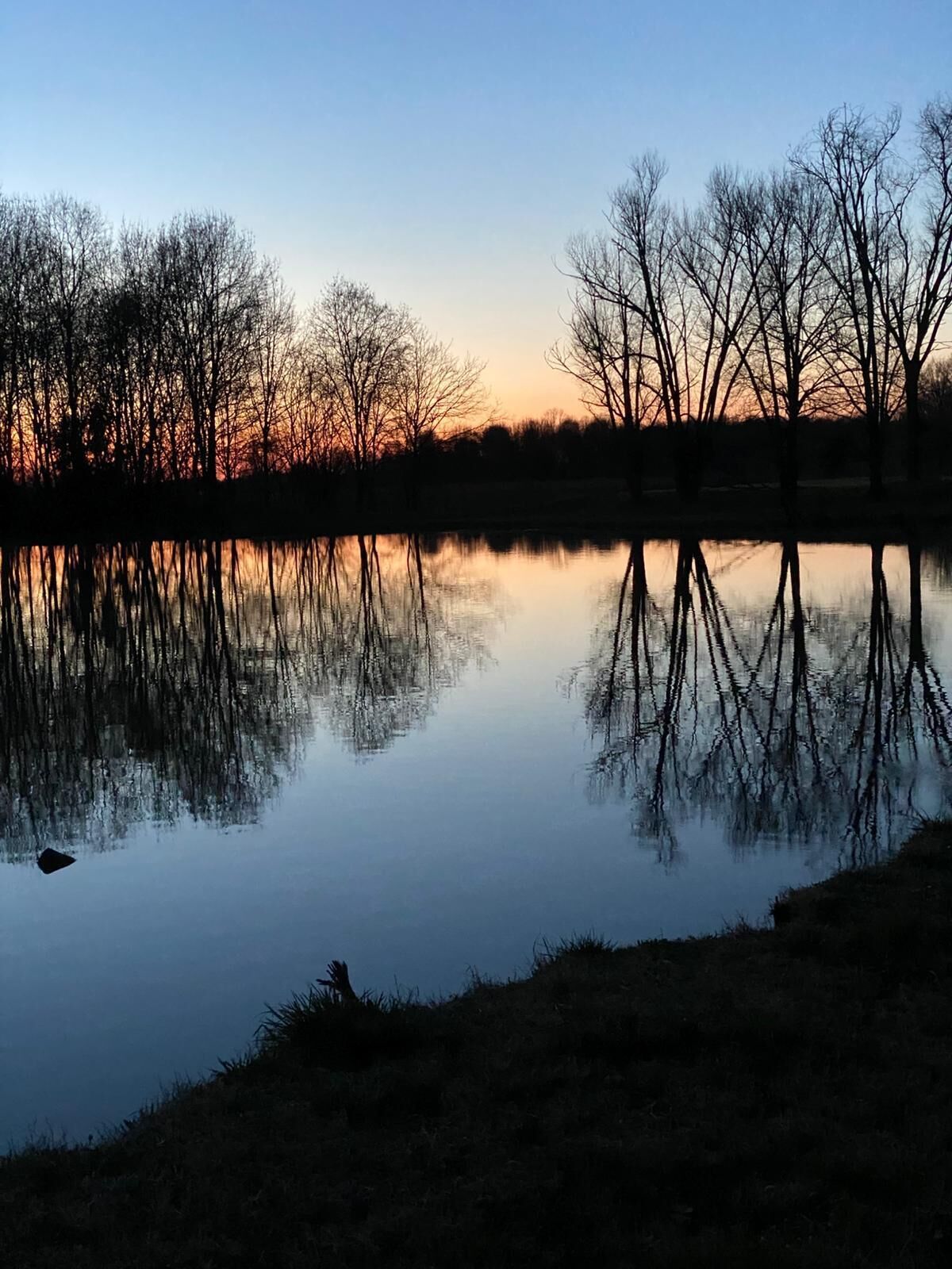 Un lago tranquilo al atardecer con árboles desnudos reflejándose en el agua.