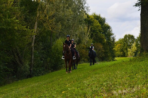A pathway with three people riding horses, surrounded by greenery and trees. - Agriturismo La Bisa (Trecenta)