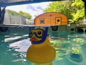 A rubber duck with goggles in a swimming pool. - Hot Tub Sauna Innisfil - True Cottage Experience (Innisfil)