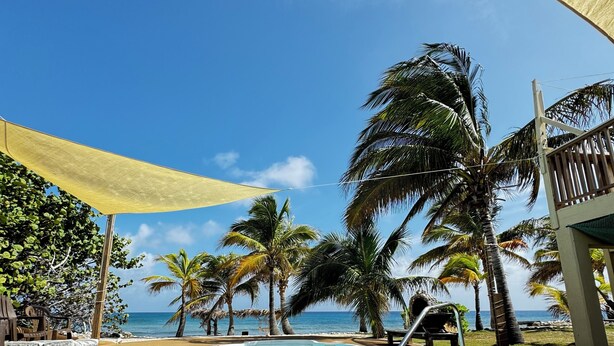 Zona de piscina con vista despejada al océano, rodeada de palmeras y una zona con sombra.