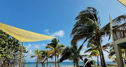 Beachfront 2-bdr 2-bath "Sunshine Aloha Suite" 100 ft from the Ocean with Pool!