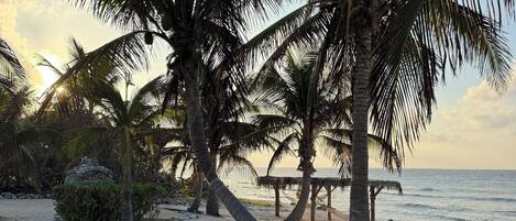 Una playa con palmeras, una estructura de techo de paja y vistas al océano.