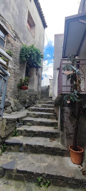 Àrea exterior de l'allotjament