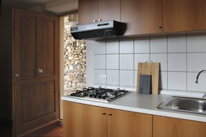 Fridge, oven, stovetop, electric kettle