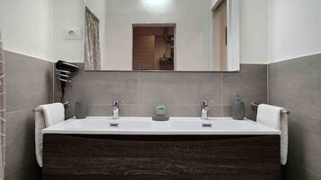 Shower, hair dryer, bidet, towels