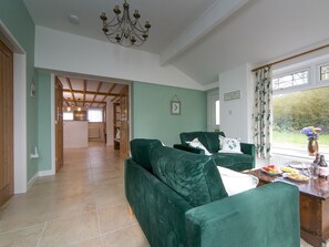 TV, fireplace, books