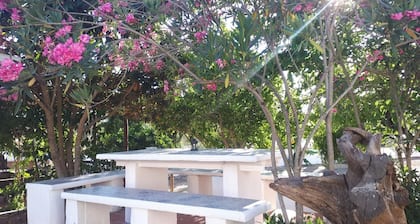 Chambre 'Palmeira' avec piscine partagée, Wi-Fi et climatisation