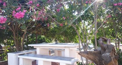 Habitación 'Palmeira' con piscina compartida, Wi-Fi y aire acondicionado