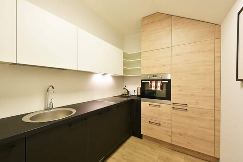 Domillion Duplex Apt 11 ppl 4baths Vokieciu V10D!