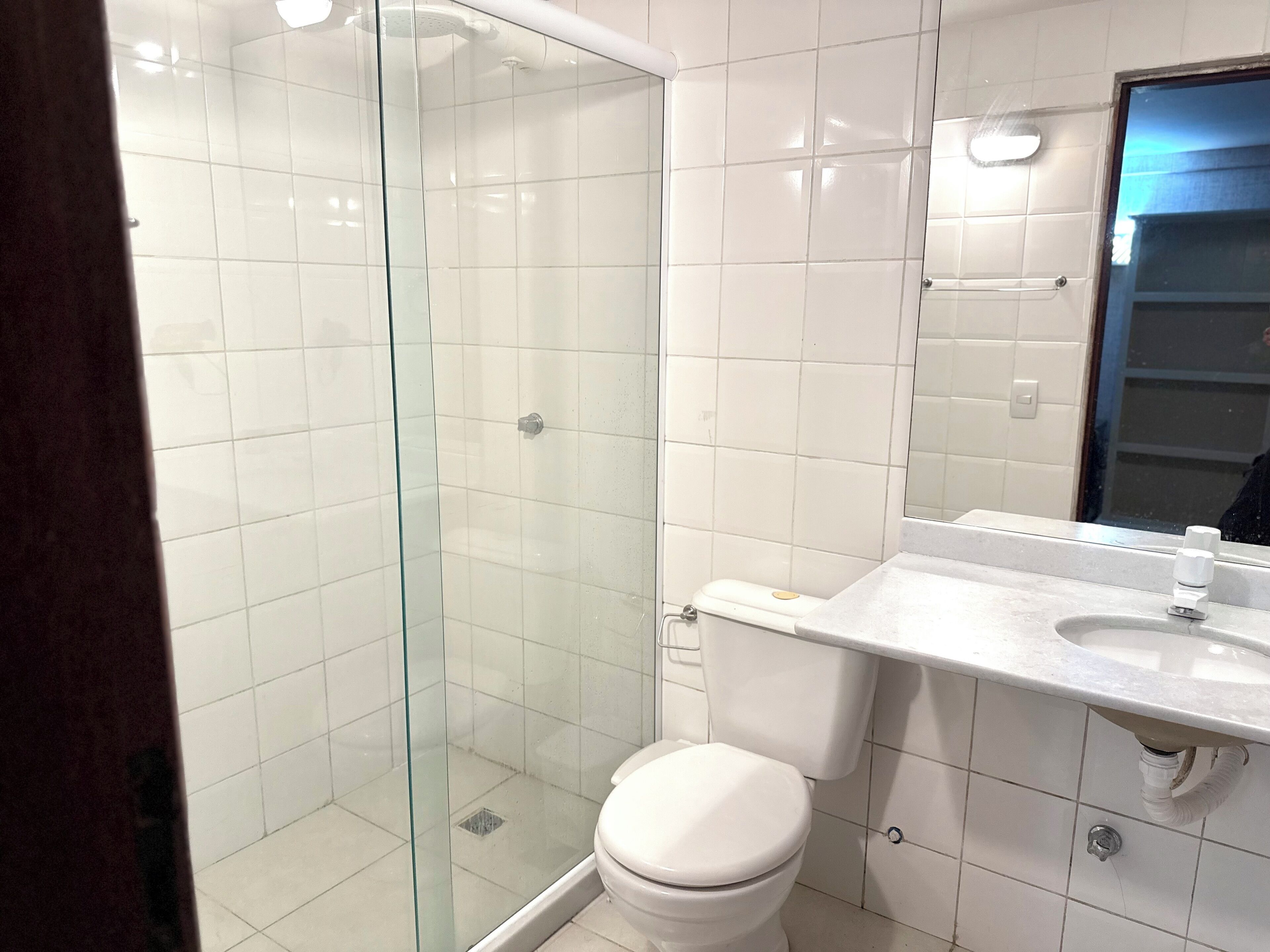 A bathroom with a glass-enclosed shower, a white toilet, and a sink with a mirror above it.