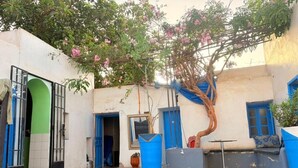 Un patio exterior con un árbol, un bote de basura azul y una puerta verde.