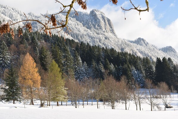 Miscellaneous - The little Vercors chalet with mountain views (Saint-Agnan-en-Vercors)