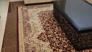 Un salon avec un canapé beige, deux coussins à motifs, une table basse foncée et un grand tapis décoratif.