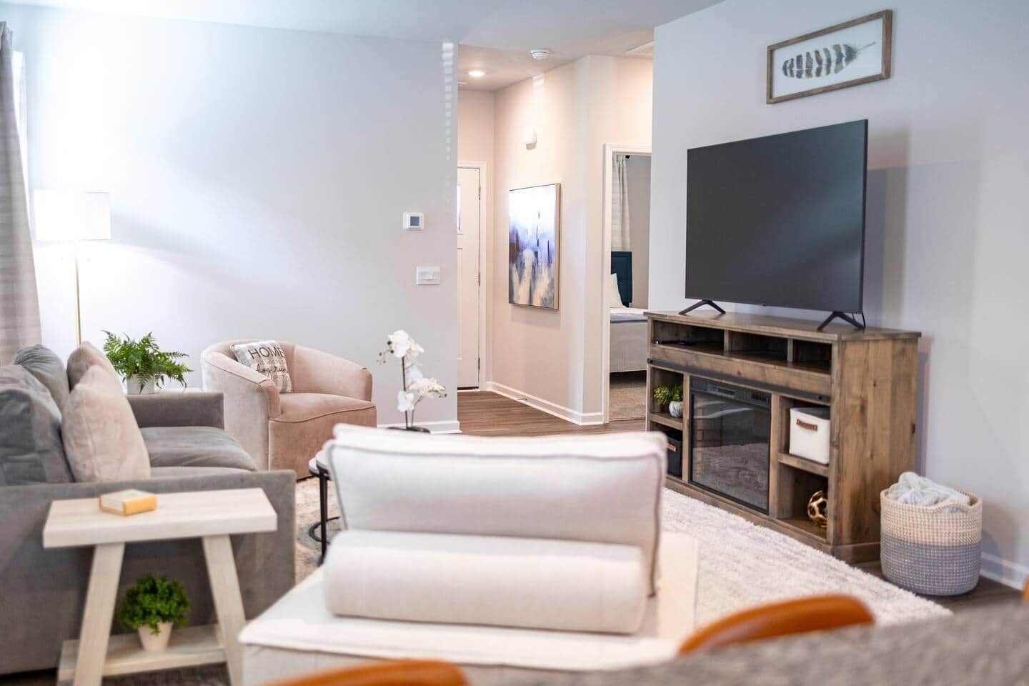 Televisión y chimenea 