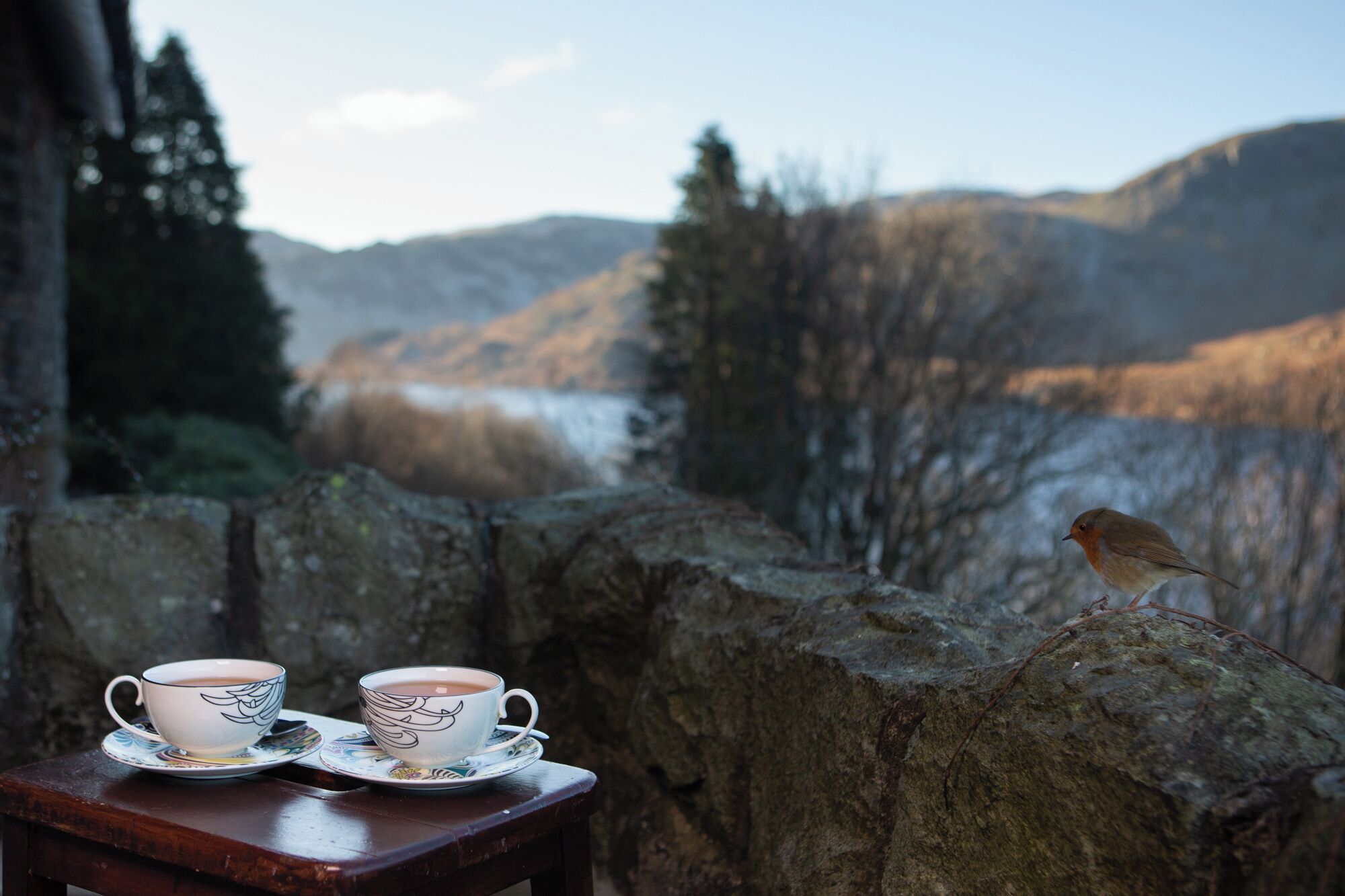 A rustic outdoor setting with a wooden table holding two cups of tea, a stone wall, and a bird perched on the wall.
