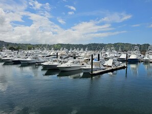 Un port de plaisance où de nombreux bateaux sont amarrés aux quais.
