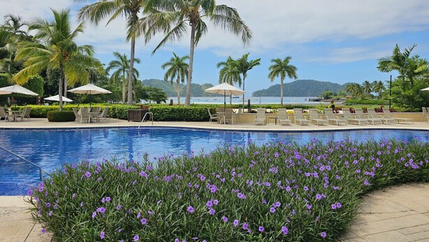 A pool with lounge chairs and umbrellas, surrounded by palm trees and purple flowers.