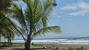 A beach with palm trees and ocean waves.