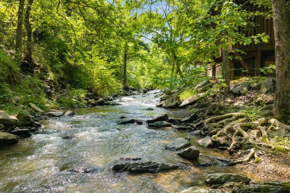 Property grounds - Comforts Me w/Hot Tub (Sevierville)