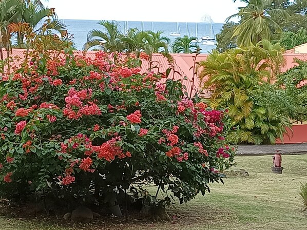 Property grounds -
Large Studio,sea view,air conditioning,beach, optional swimming pool,car rental (Sainte-Anne)