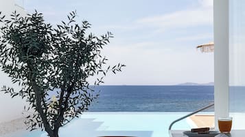 Tägliches Frühstücksbuffet (20 EUR pro Person)