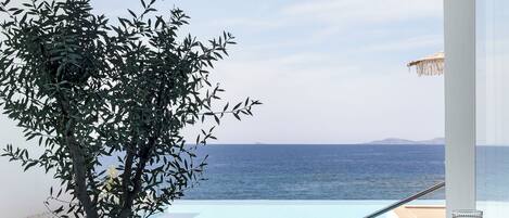 Daily buffet breakfast (EUR 20 per person)