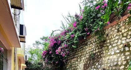 Top Hill Halong Homestay