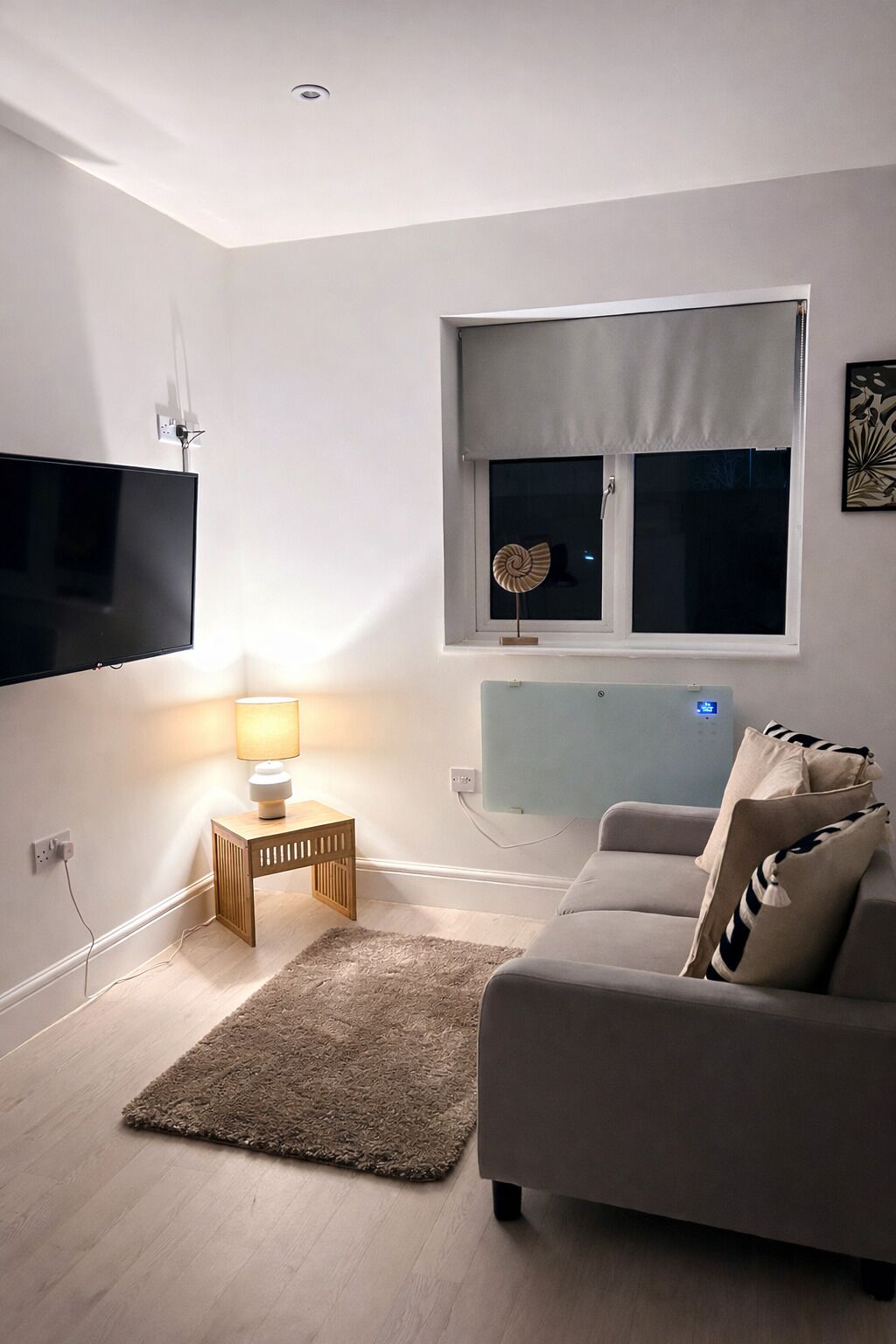 TV