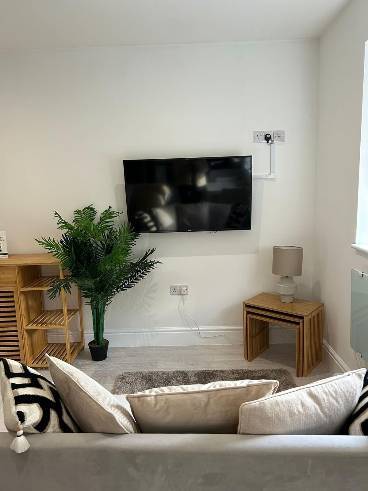 TV
