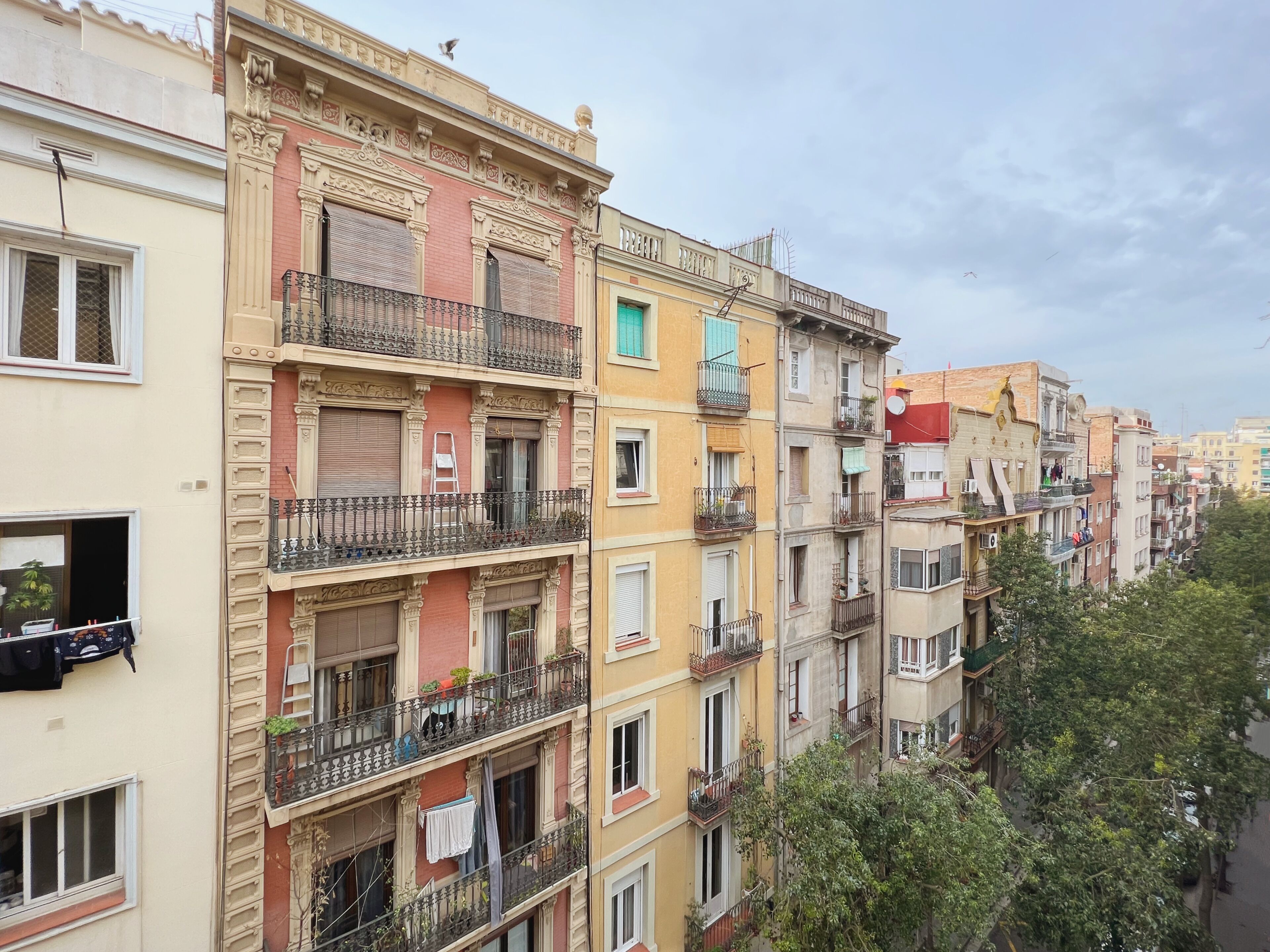 Una hilera de edificios de varios pisos con balcones, algunos con plantas y ropa tendida.