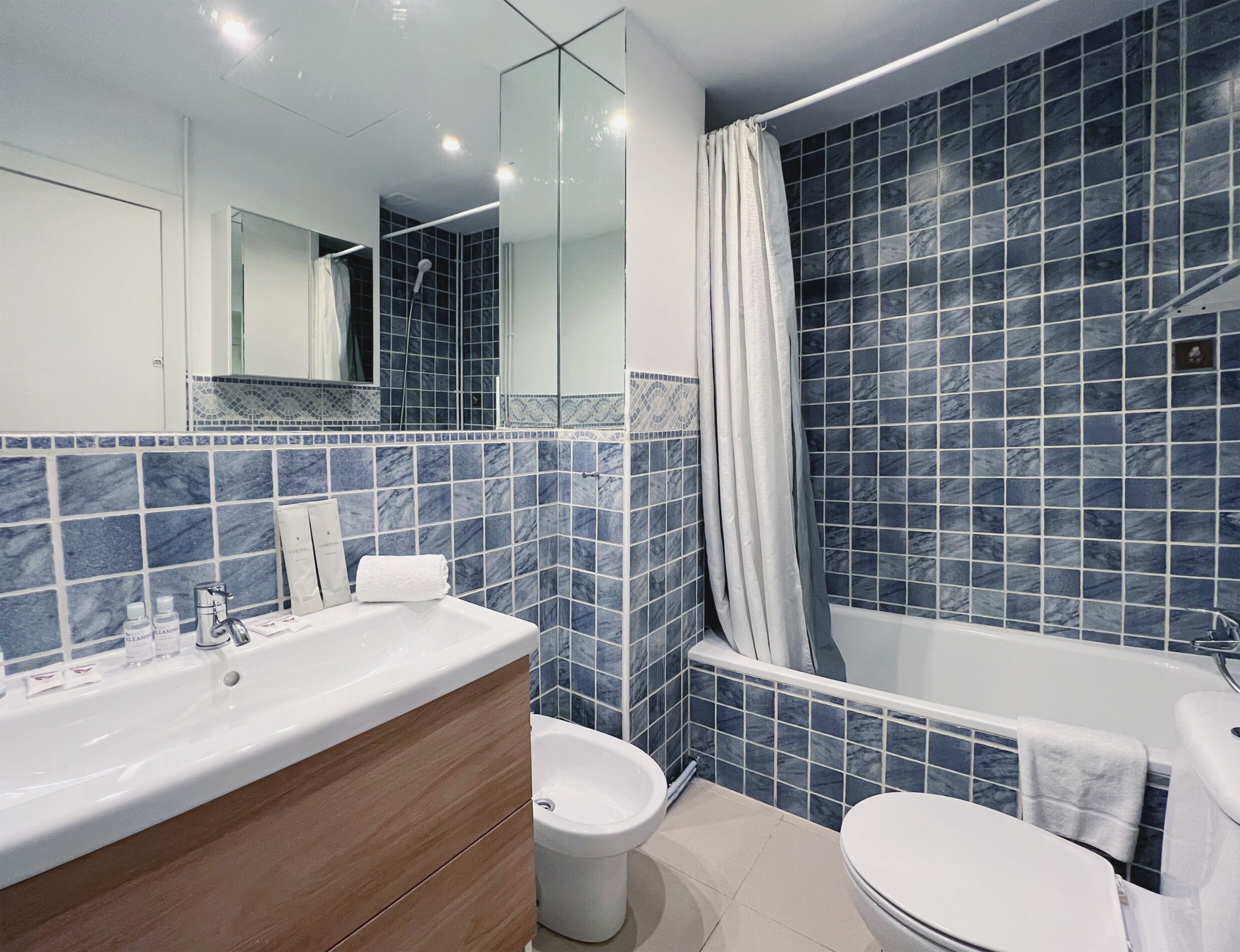 A modern bathroom with a large bathtub, a separate toilet, and a vanity with a mirror.