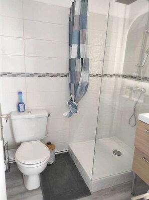 Ducha, secador de pelo, toallas, papel higiénico
