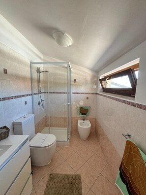 Shower, hair dryer, bidet, towels