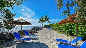 Une plage avec des chaises longues bleues, un parasol en chaume et des palmiers.