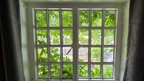 A window with a grid pattern, allowing a view of greenery outside. - The George & Dragon Pub - The Apartment (Horsham)