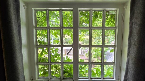 A window with a grid pattern, allowing a view of greenery outside. - The George & Dragon Pub - The Apartment (Horsham)