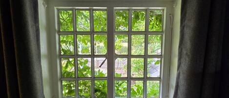 A window with a grid pattern, allowing a view of greenery outside.