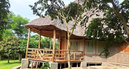 Kibale Canopy Lodge