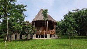 Une construction à toit de chaume, dotée d’une terrasse en bois, entourée d’une pelouse et d’arbres.