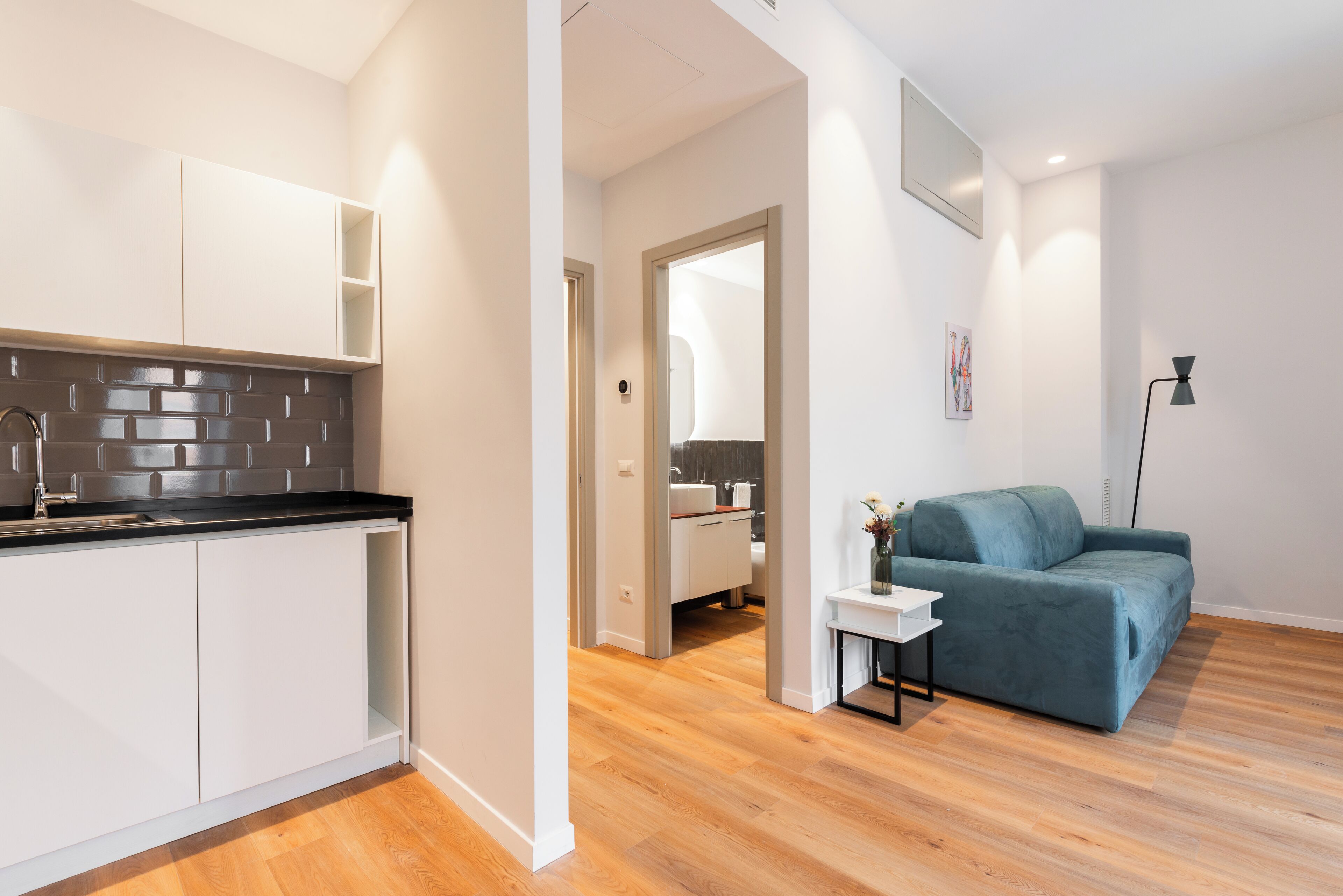 华丽公寓, 庭院景观 | 起居区 | 电视