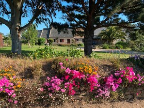 Àrea exterior de l'allotjament