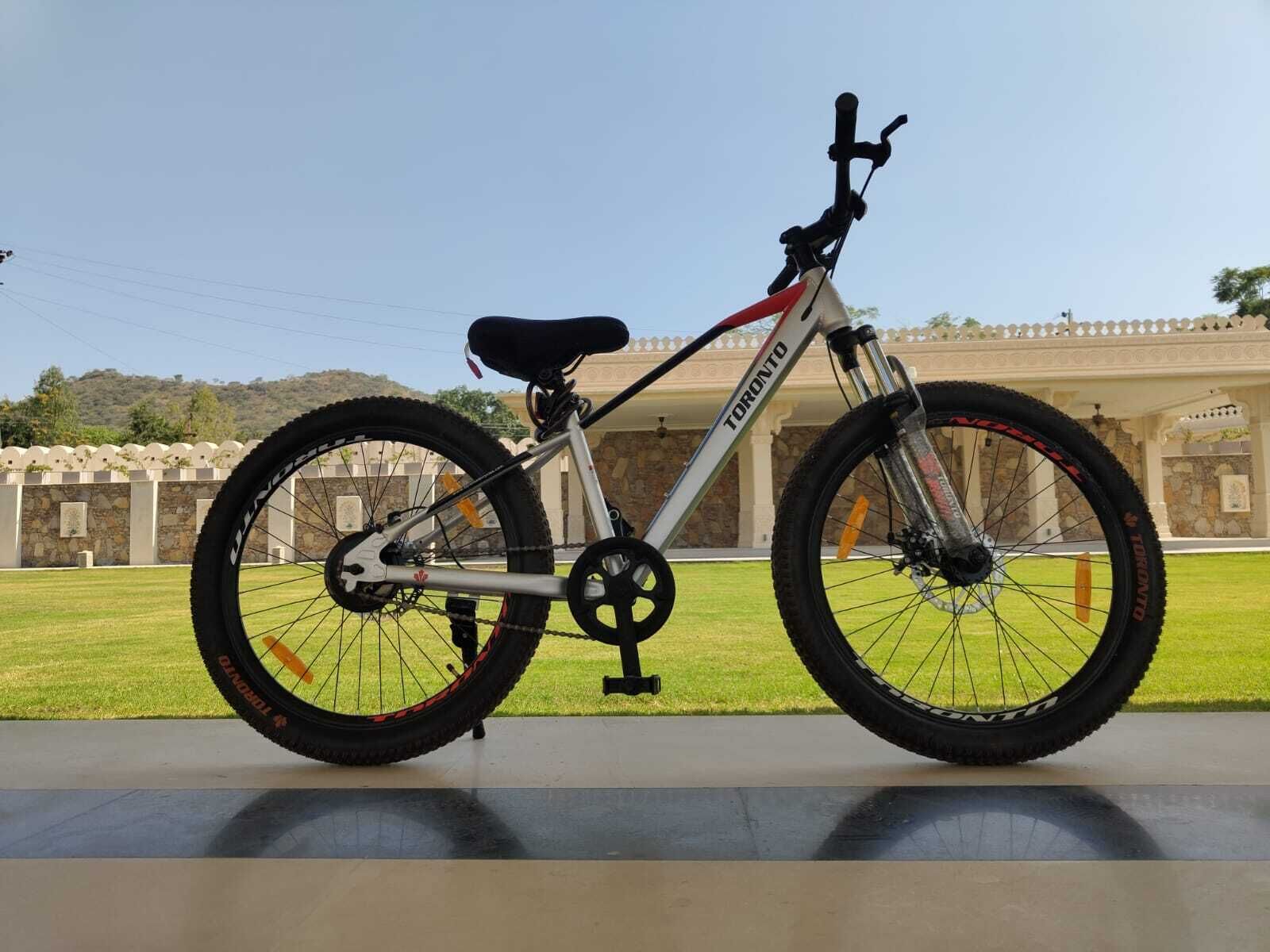 A bicycle with a white frame and red accents, parked on a paved surface with a stone wall and greenery in the background.