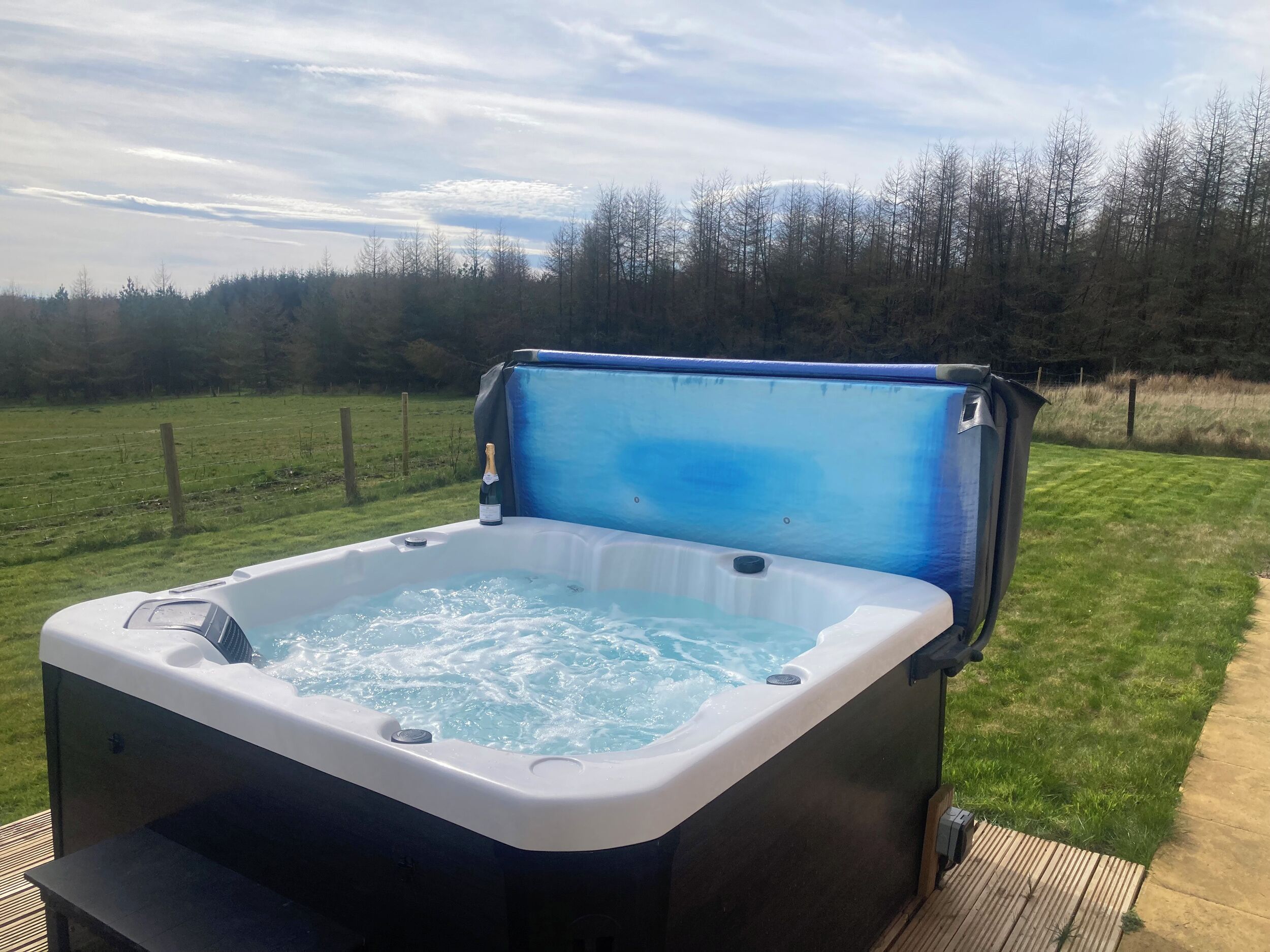 Un jacuzzi con una botella de champán, rodeado de césped y árboles.