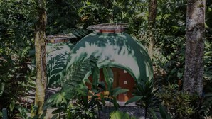 Property grounds - Dome shaped bungalow in a lush tropical forest, steps away from ocean views. (Bocas del Toro)
