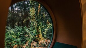Interior - Dome shaped bungalow in a lush tropical forest, steps away from ocean views. (Bocas del Toro)