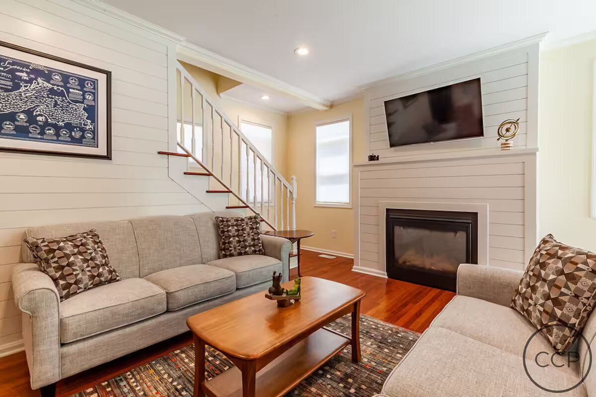 Smart TV, chimenea, reproductor de DVD y libros 