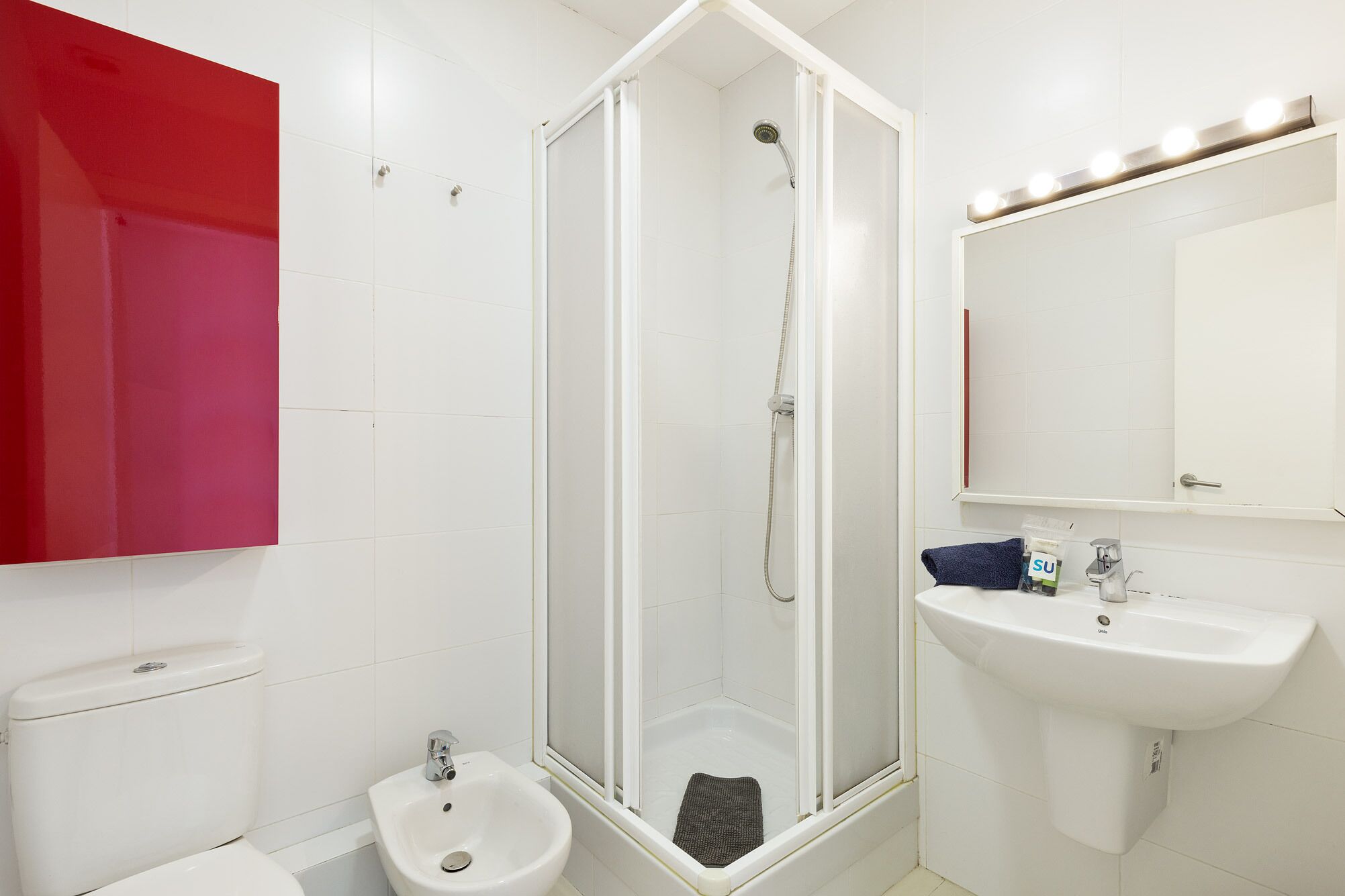 Une salle de bain équipée d’une douche, d’un bidet, d’un lavabo et d’un miroir.