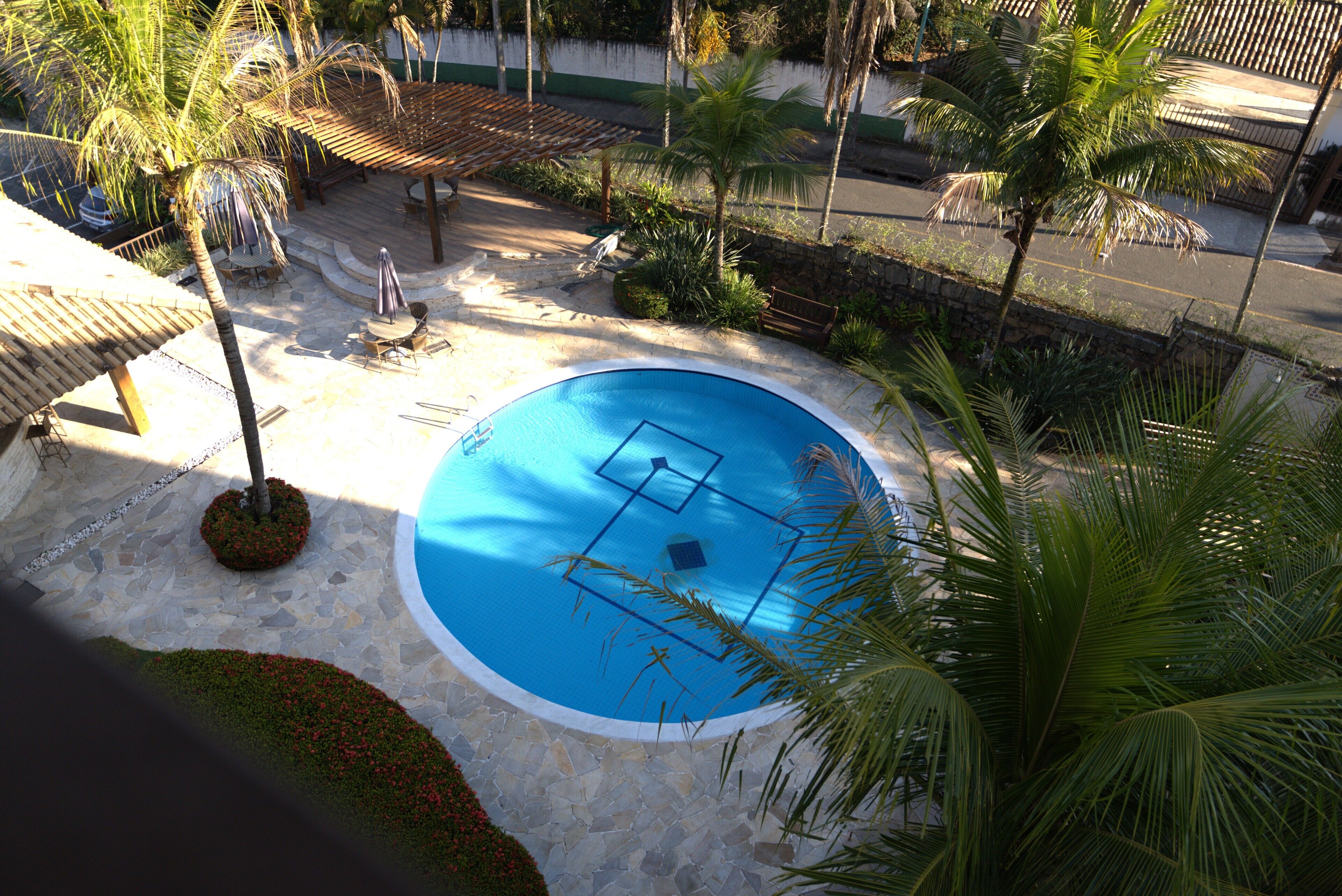 Piscina cercada por palmeiras e um pátio de pedra.