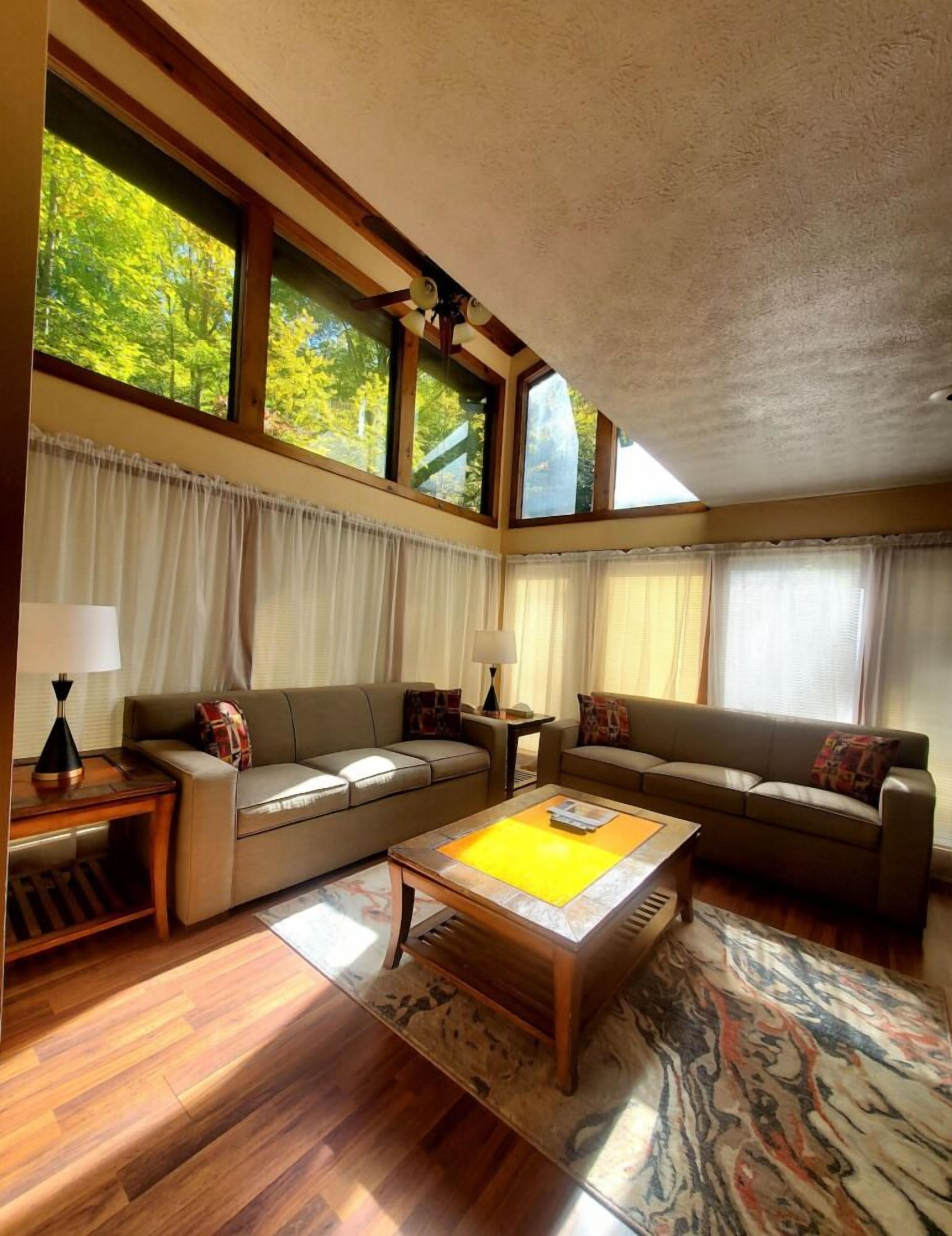 TV, fireplace, books