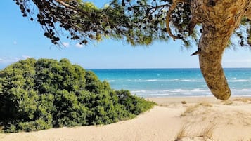 Ranta lähistöllä, rantapyyhkeitä